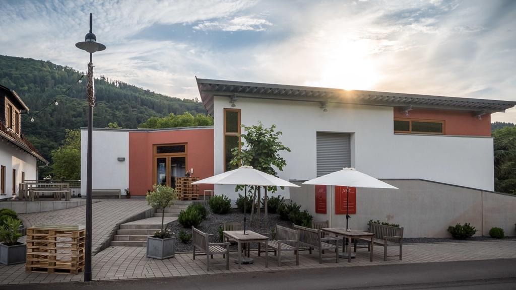 Апартаменти Weingut Peifer Трабен-Трарбах Екстер'єр фото
